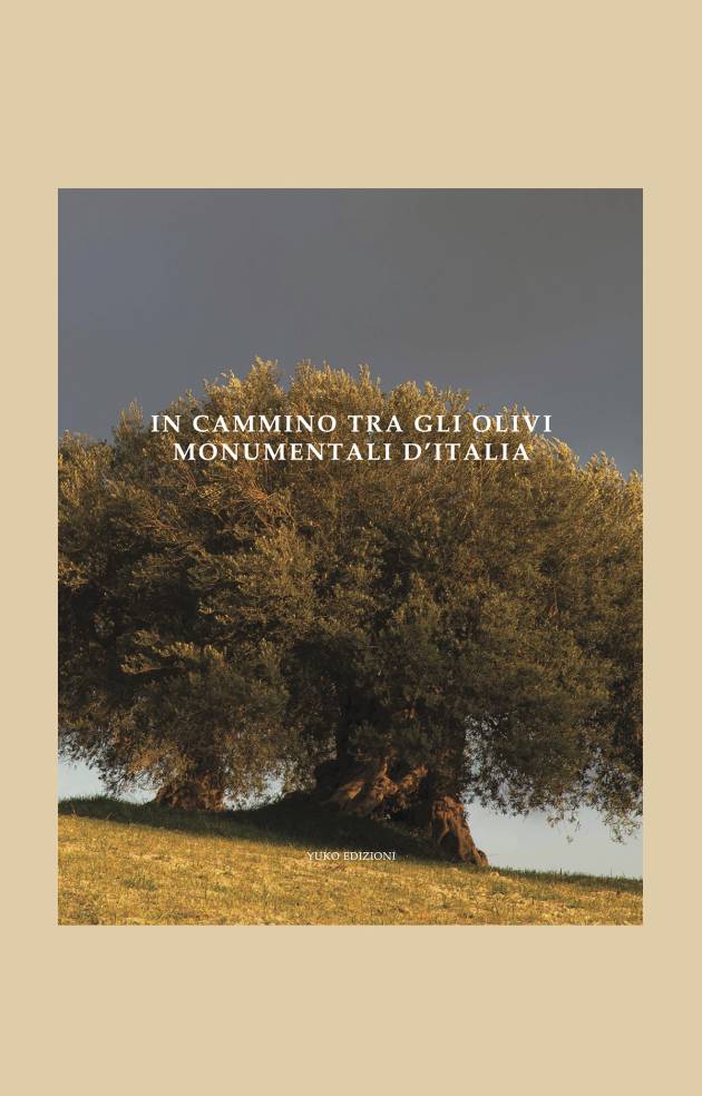 IN CAMMINO TRA GLI OLIVI MONUMENTALI D'ITALIA