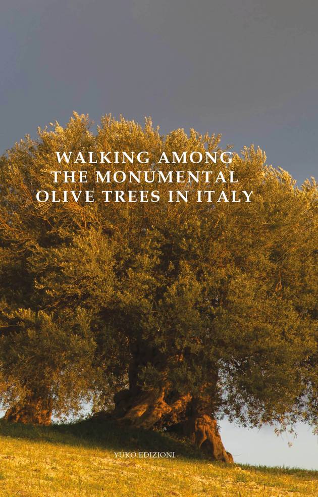WALKING AMONG THE MONUMENTAL OLIVE TREES